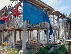 Sekitar Lima Ribu Ekor Ayam di Blitar Hangus Terbakar, Kerugian Capai Rp 200 Juta