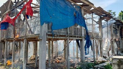 5.000 Ekor Ayam Hangus Terbakar, Kerugian Capai Rp 200 Juta