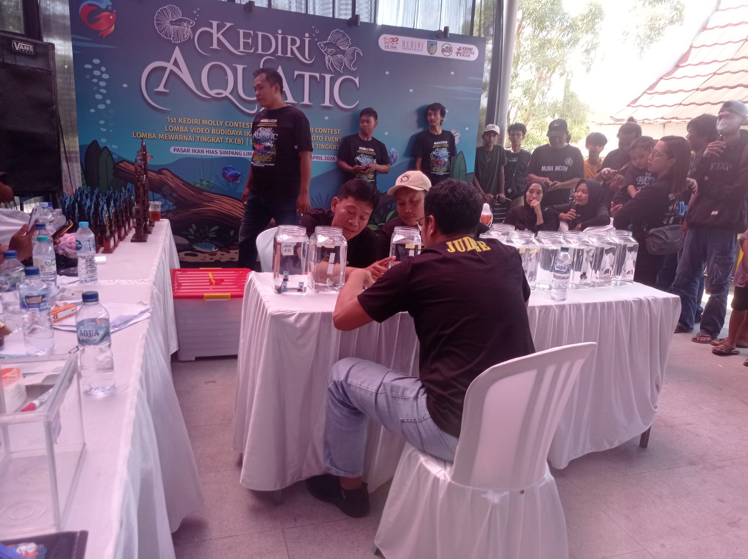 Kontes Nasional Ikan Moly dan Cupang Diserbu Pengunjung, Diminati hingga Mancanegara