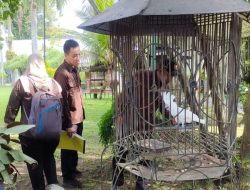 Dipicu Stres, Kondisi Fisik dan Bobot Satwa di Kebun Binatang Pendopo Tulungagung Menurun