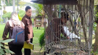 Dipicu Stres, Kondisi Fisik dan Bobot Satwa di Kebun Binatang Pendopo Tulungagung Menurun