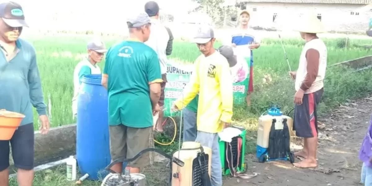 Cegah Serangan OPT di Awal Kemarau, Petani Kediri Intensifkan Gerdal