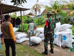 Serapan Gabah/Beras Naik Dua Kali Lipat, Bulog Tulungagung Hampir Sentuh 20 Ribu Ton