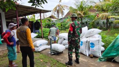 Serapan Gabah/Beras Naik Dua Kali Lipat, Bulog Tulungagung Hampir Sentuh 20 Ribu Ton
