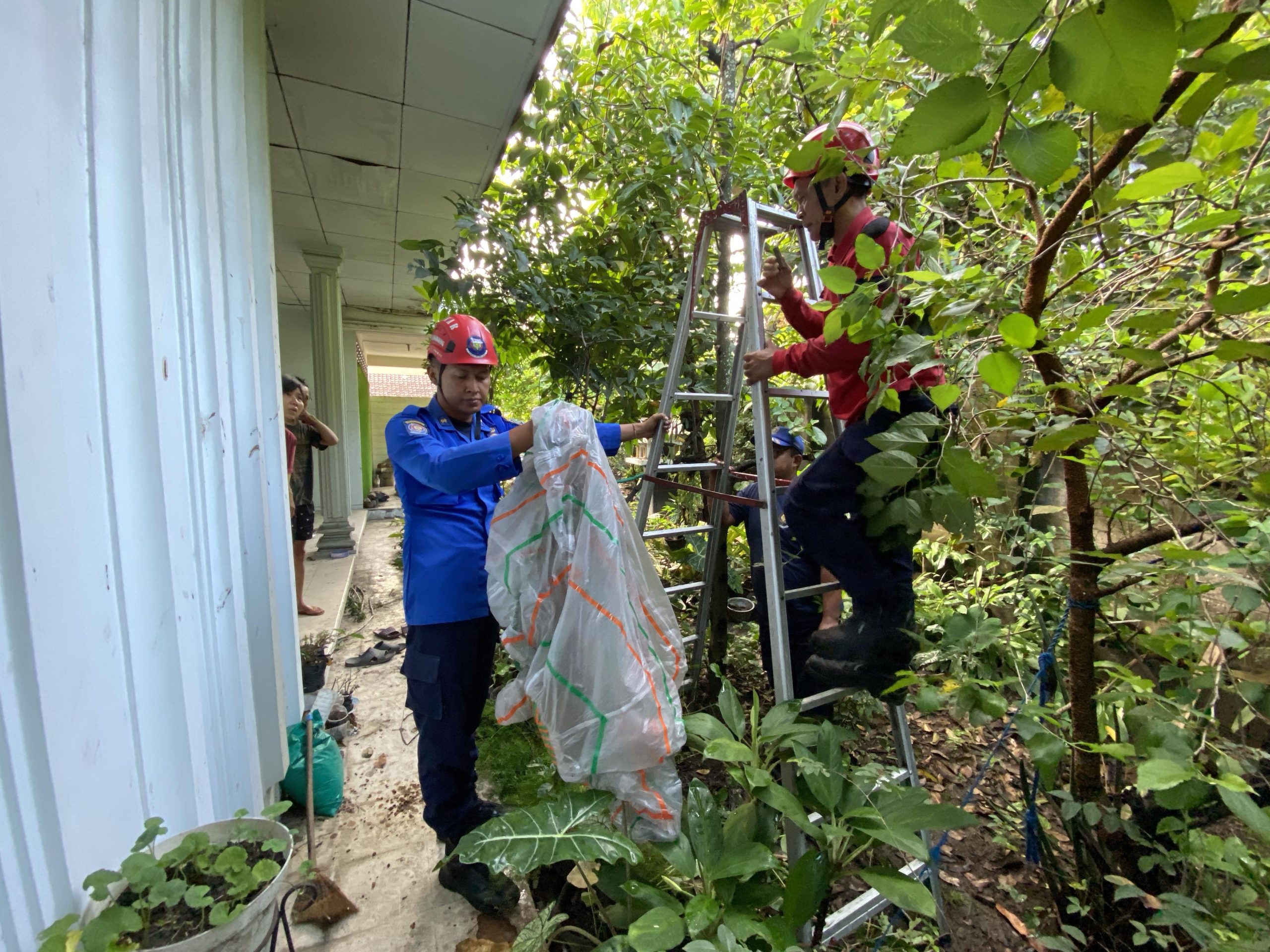 Balon Udara Berpetasan Tersangkut Kabel Listrik dan Atap Rumah di Kutoanyar, Damkar Lakukan Evakuasi
