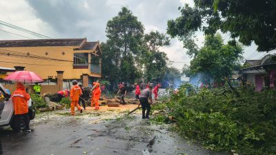 Hujan Deras dan Angin Kencang, Pohon Asem Londo Tumbang Tutup Jalan Nasional Tulungagung–Kediri