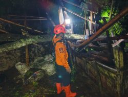 Angin Kencang di Kabupaten Blitar Rusak Enam Rumah, Balita Terluka Tertimpa Genteng