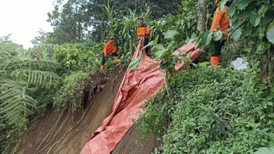 Hujan Deras Picu Longsor, Dapur Warga Sumberasri Rusak Tertimbun Tanah