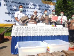 Kejari Jombang Musnahkan Barang Bukti 51 Perkara Inkracht, Sabu dan Ganja Bernilai Ratusan Juta Ikut Dimusnahkan
