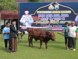 Sebanyak 39 Hewan Kurban dari Polres Jombang Disalurkan ke Ponpes dan Panti Asuhan