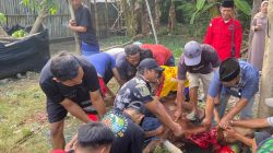 DPC PDI Perjuangan Jombang Salurkan Hewan Kurban, Tokoh Masyarakat Apresiasi Kepedulian Partai