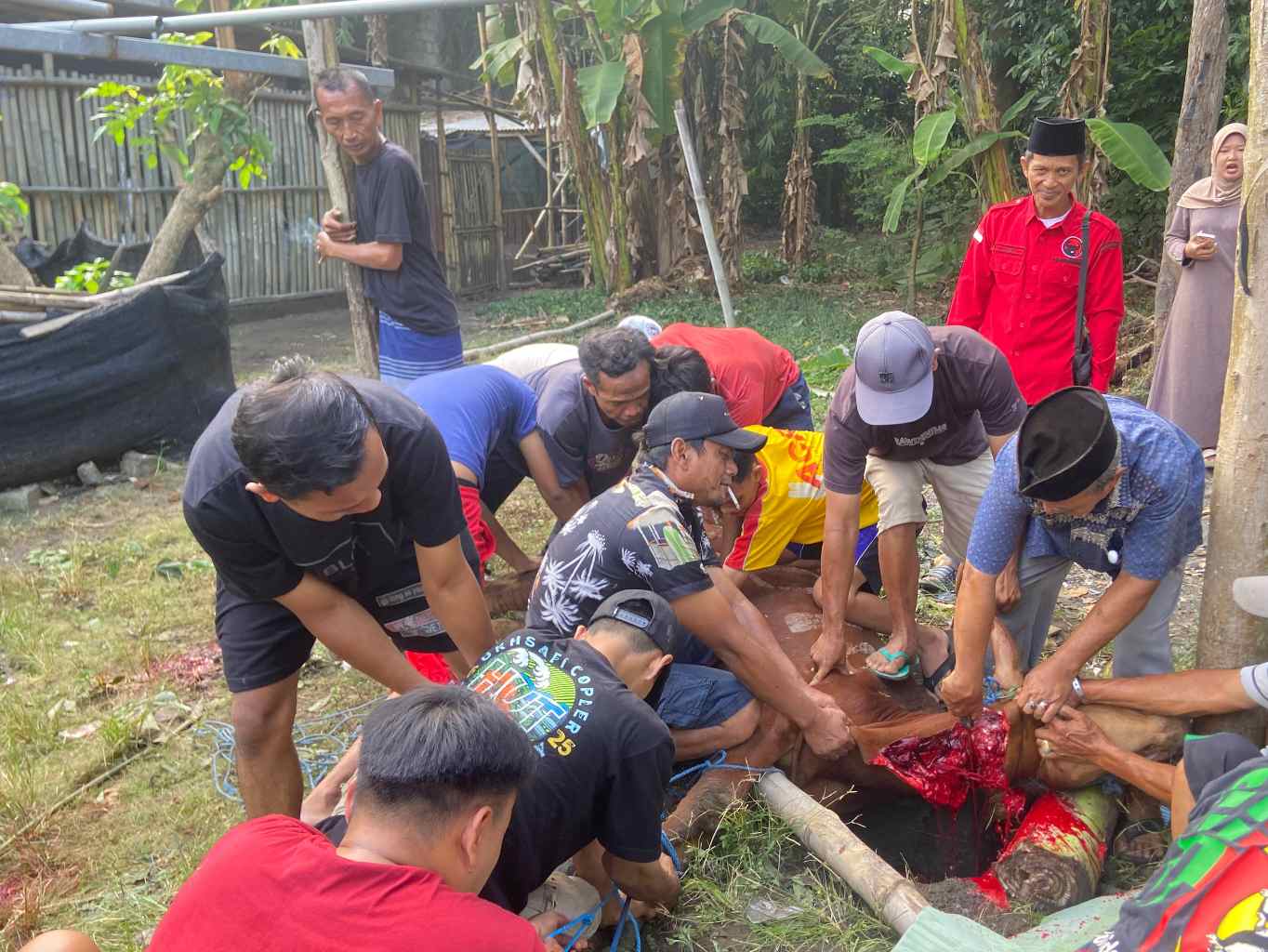 DPC PDI Perjuangan Jombang Salurkan Hewan Kurban, Tokoh Masyarakat Apresiasi Kepedulian Partai