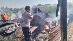 Kandang Ternak di Jogoroto Jombang Terbakar, Puluhan Ayam dan Dua Kambing Mati