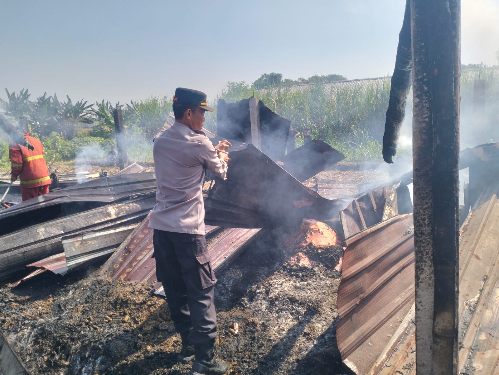 Kandang Ternak di Jogoroto Jombang Terbakar, Puluhan Ayam dan Dua Kambing Mati