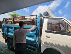 Polisi Bongkar Pembalakan Hutan di Malang Selatan, Truk Bermuatan Kayu Diamankan