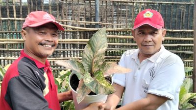 Camat Mojoroto Dorong ASN Siapkan Masa Purna Produktif Lewat Budidaya Anthurium
