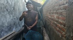 Lahan Sempit Disulap Jadi Ladang Cuan, Imam Sugianto Tekuni Budidaya Lele Meski Harga Pakan Mahal