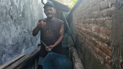 Lahan Sempit Disulap Jadi Ladang Cuan, Imam Sugianto Tekuni Budidaya Lele Meski Harga Pakan Mahal