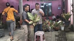 Pecinta Aglonema dan Anthurium Tumplek Blek Hadiri Lelang Tanaman Hias Keliling di Kediri