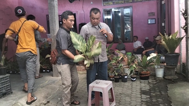 Lelang Tanaman Hias Keliling Digelar di Kediri,