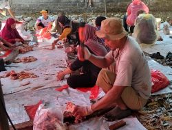 Ponpes Kedunglo Sembelih 8 Sapi dan 99 Kambing di Hari Kedua Hari Raya Iduladha 1447 Hijriah, Ini Infonya