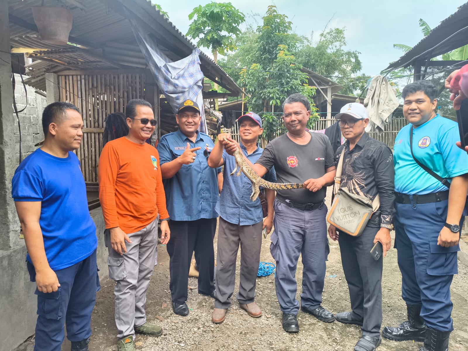 Damkar Amankan Anakan Buaya di Permukiman Warga