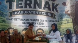 DKPP Kabupaten Kediri Gelar Kontes Ternak 2026, 136 Sapi Bernilai Hingga Rp7 Miliar