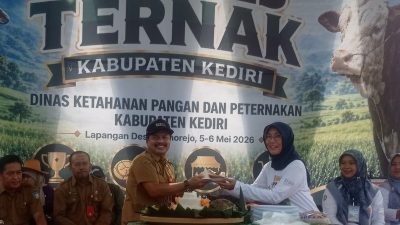 DKPP Kabupaten Kediri Gelar Kontes Ternak 2026, 136 Sapi Bernilai Hingga Rp7 Miliar
