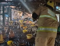Diduga Korsleting Listrik, Kandang Ayam di Semen Kediri Terbakar