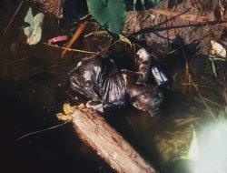 Bau Menyengat dari Parit Gegerkan Warga Babadan, Jasad Bayi Ditemukan dalam Plastik Hitam