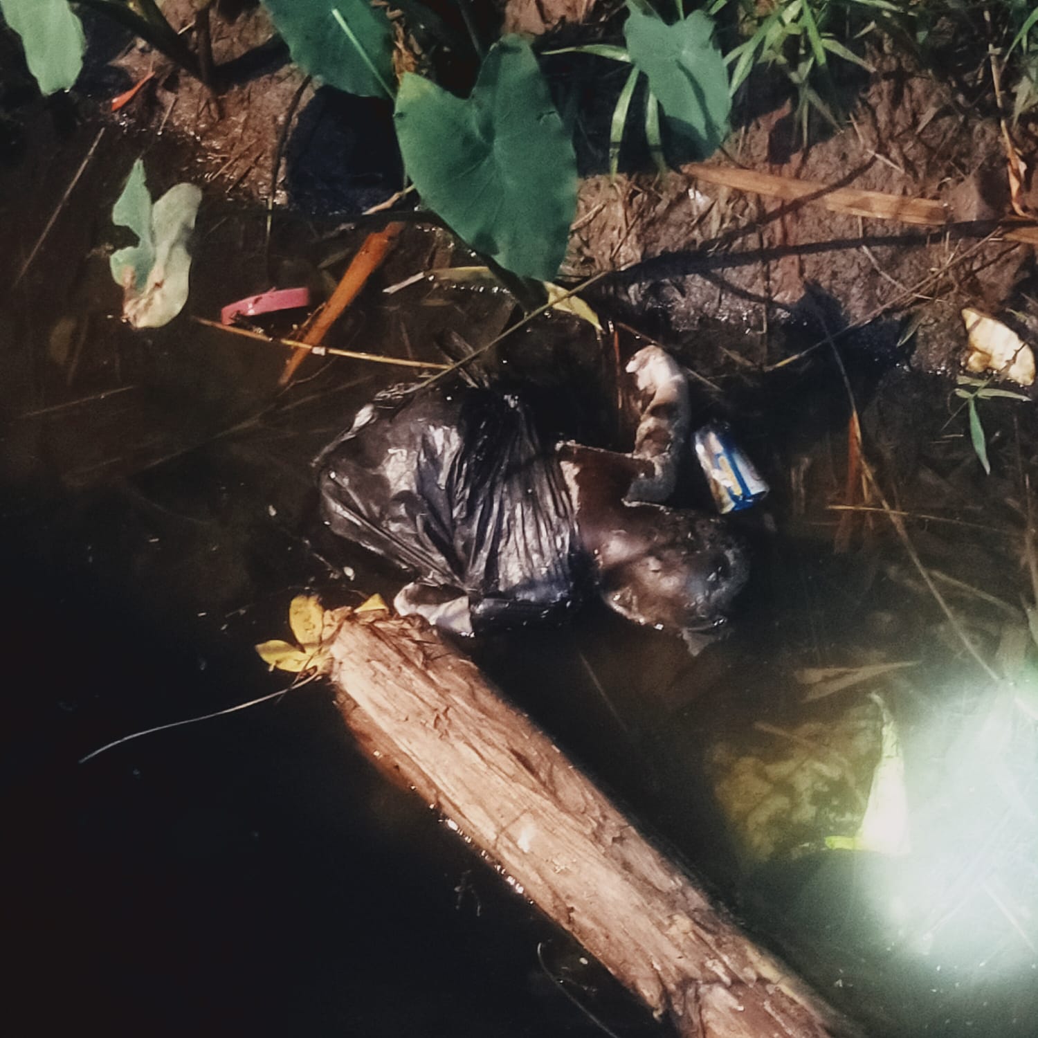 Bau Menyengat dari Parit Gegerkan Warga Babadan, Jasad Bayi Ditemukan dalam Plastik Hitam