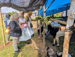 DKPP Kabupaten Kediri Pastikan Hewan Kurban yang Dijual di Pinggir Jalan dalam Kondisi Sehat