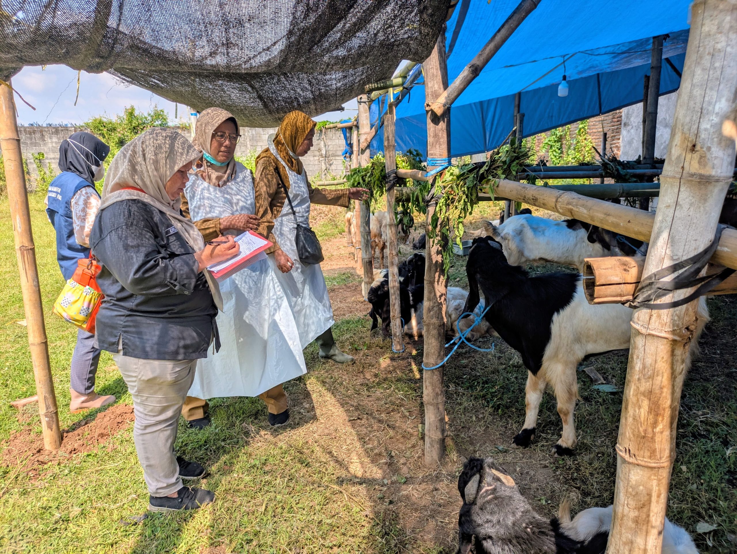 DKPP Kabupaten Kediri Pastikan Hewan Kurban yang Dijual di Pinggir Jalan dalam Kondisi Sehat