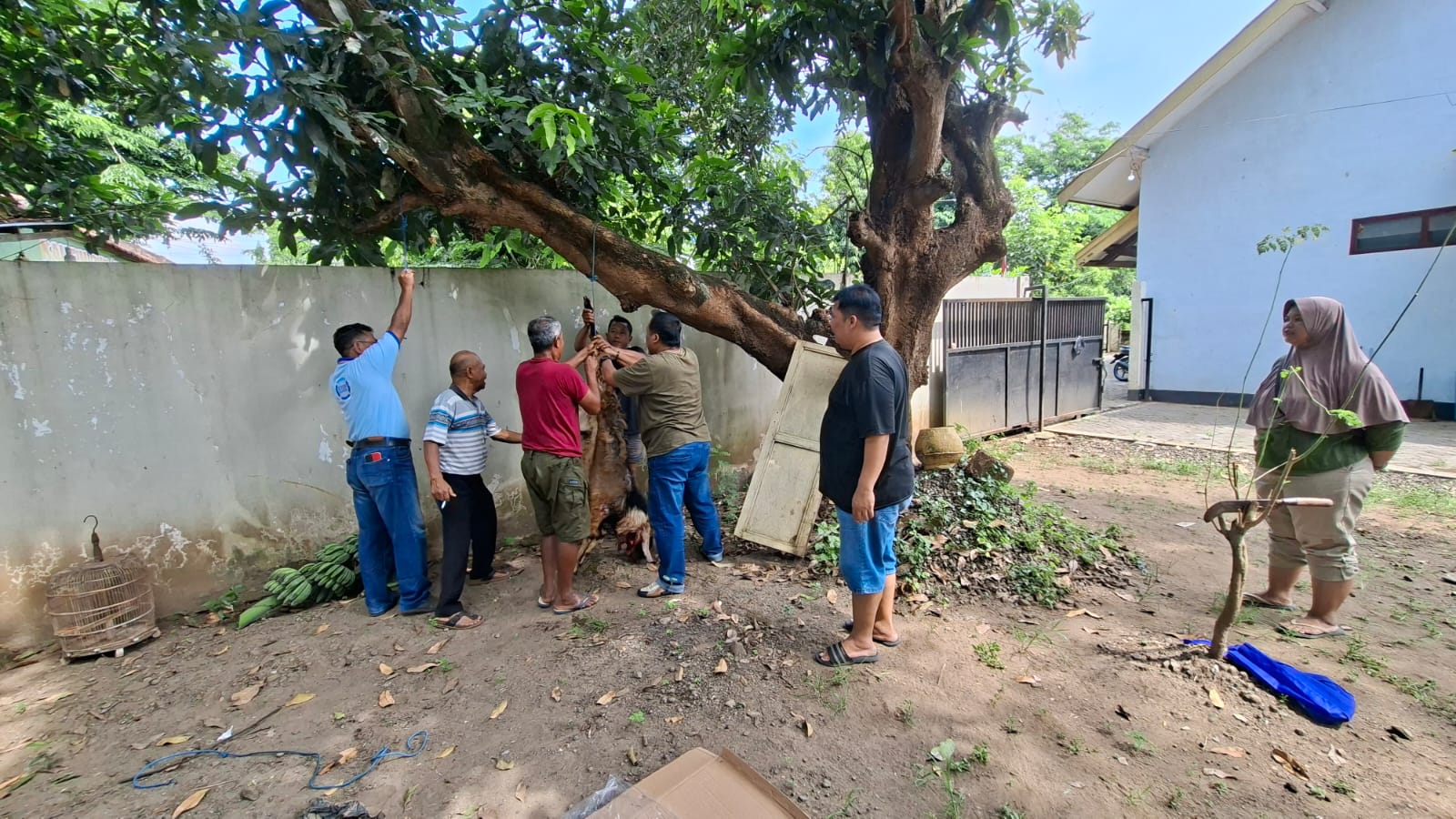 Tebar Spirit Berbagi di Momen Iduladha, PWI Nganjuk Sembelih Dua Kambing Kurban