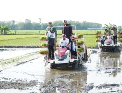Hilirisasi dan Modernisasi Pertanian, Lamongan Jadi Percontohan Nasional Menuju Swasembada Pangan