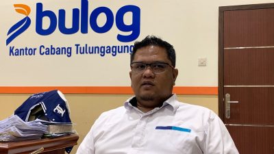 Bulog Tulungagung Mulai Salurkan Jagung SPHP untuk Peternak Ayam, Kuota Capai 83 Ribu Ton