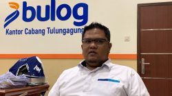 Stabilkan Harga Telur, Bulog Tulungagung Siapkan Penyaluran SPHP Jagung