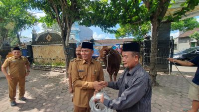 Presiden Prabowo Serahkan Sapi Kurban Limousin 1,1 Ton untuk Warga Boyolangu Tulungagung