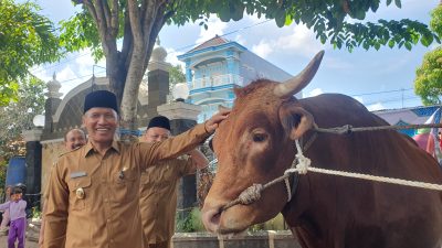 Sapi Bernama Fajar Milik Peternak Asal Tulungagung Dibeli Presiden, Laku Seharga Rp 132 Juta