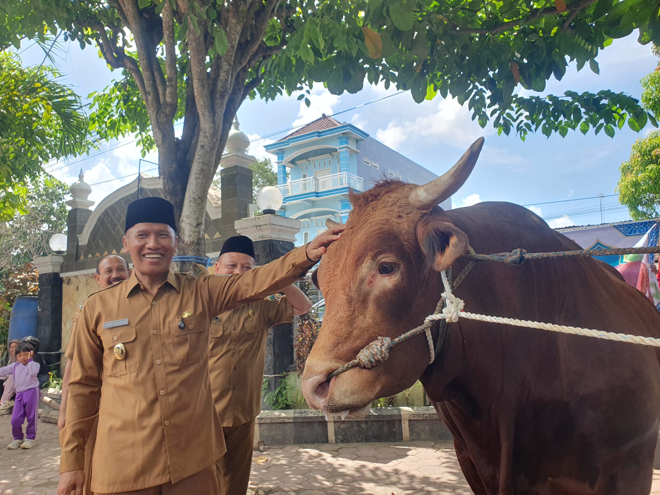 Sapi Bernama Fajar Milik Peternak Asal Tulungagung Dibeli Presiden, Laku Seharga Rp 132 Juta