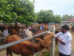 Dispertahankan Kabupaten Ponorogo Masifkan Pemeriksaan Kesehatan Hewan Kurban