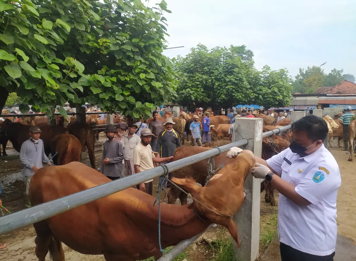Dispertahankan Kabupaten Ponorogo Masifkan Pemeriksaan Kesehatan Hewan Kurban