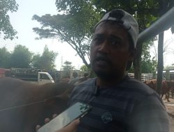 Jelang Idul Adha, Harga Hewan Kurban Naik