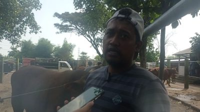 Jelang Idul Adha, Harga Hewan Kurban Naik