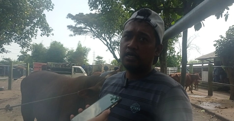 Jelang Idul Adha, Harga Hewan Kurban Naik
