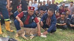 Jelang Idul Adha, Kemenag Ponorogo Siapkan Ratusan Juru Sembelih Halal Bersertifikat