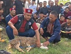 Jelang Idul Adha, Kemenag Ponorogo Siapkan Ratusan Juru Sembelih Halal Bersertifikat