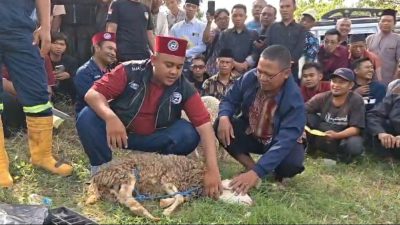 Jelang Idul Adha, Kemenag Ponorogo Siapkan Ratusan Juru Sembelih Halal Bersertifikat