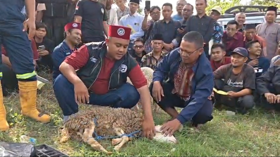 Jelang Idul Adha, Kemenag Ponorogo Siapkan Ratusan Juru Sembelih Halal Bersertifikat