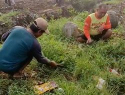 Pemdes Ringinrejo Gelar Kerja Bakti Bersama Warga dalam Rangka BBGRM